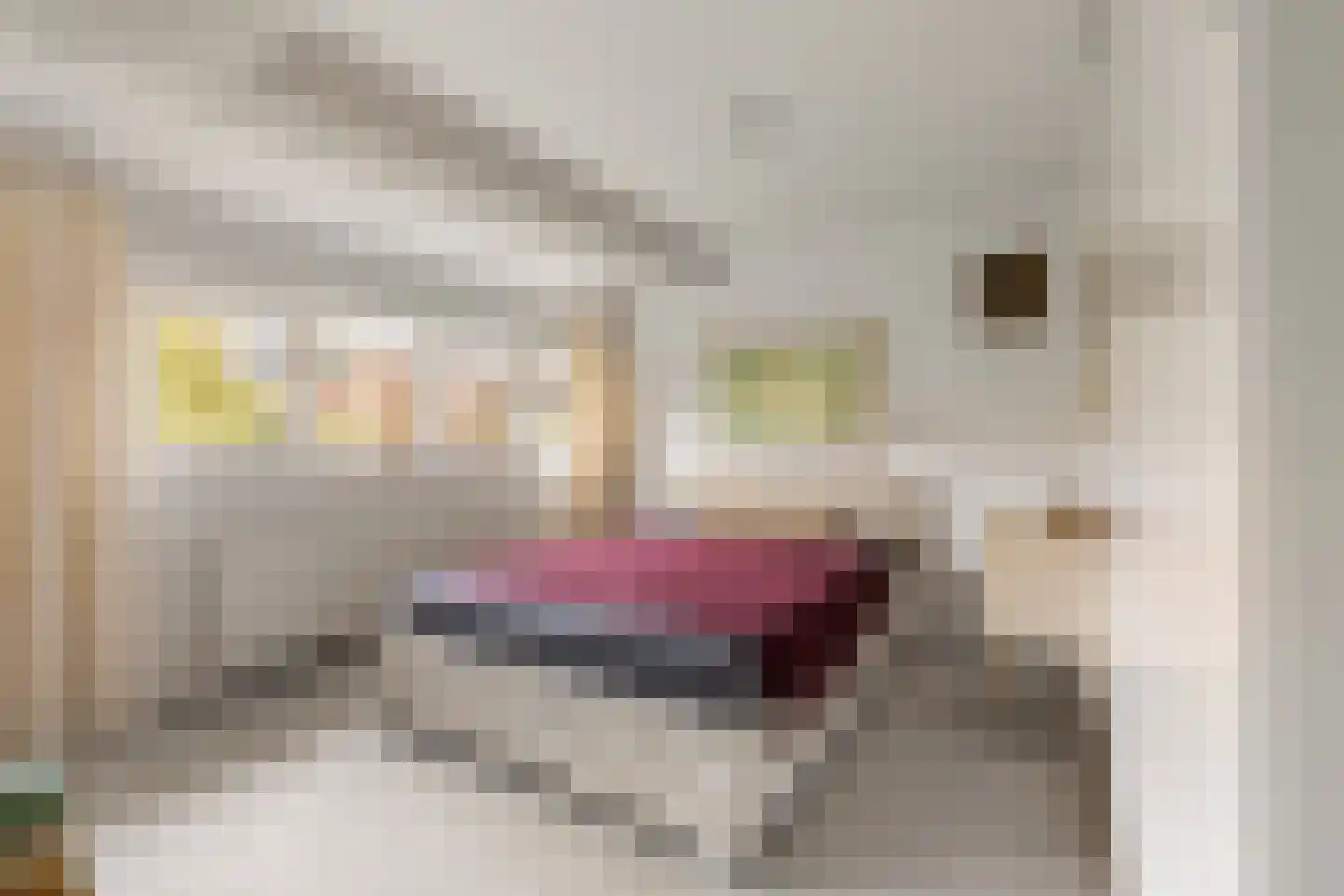 Bijenmeent 118 Hilversum thumbnail 15