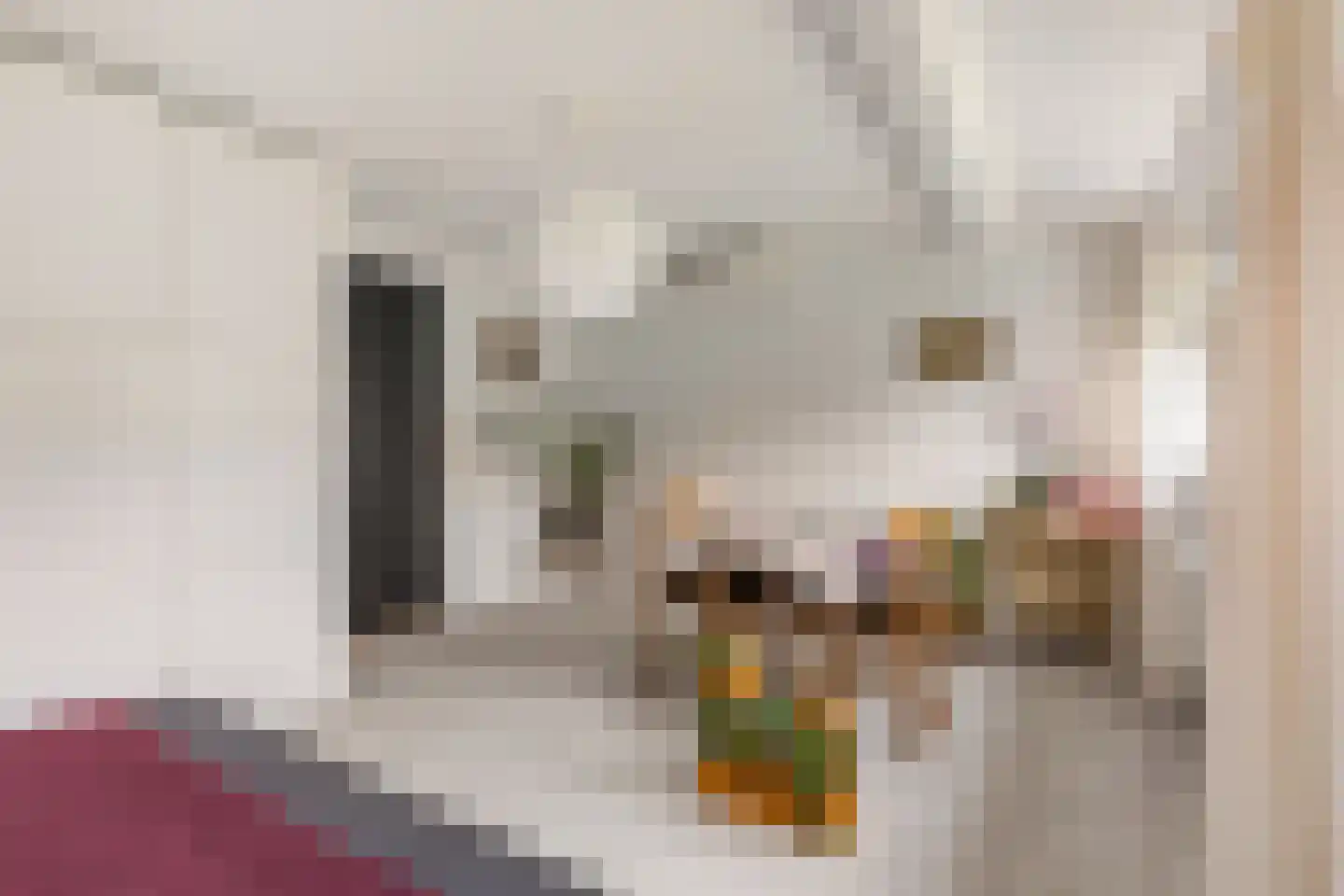 Bijenmeent 118 Hilversum thumbnail 16