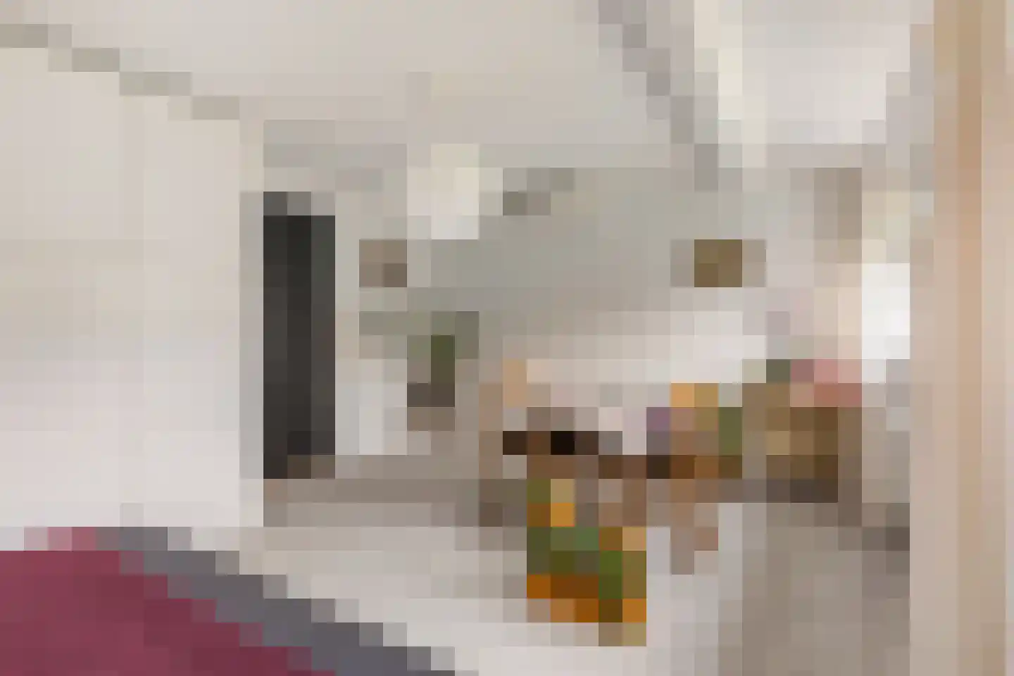 Bijenmeent 118 Hilversum thumbnail 19