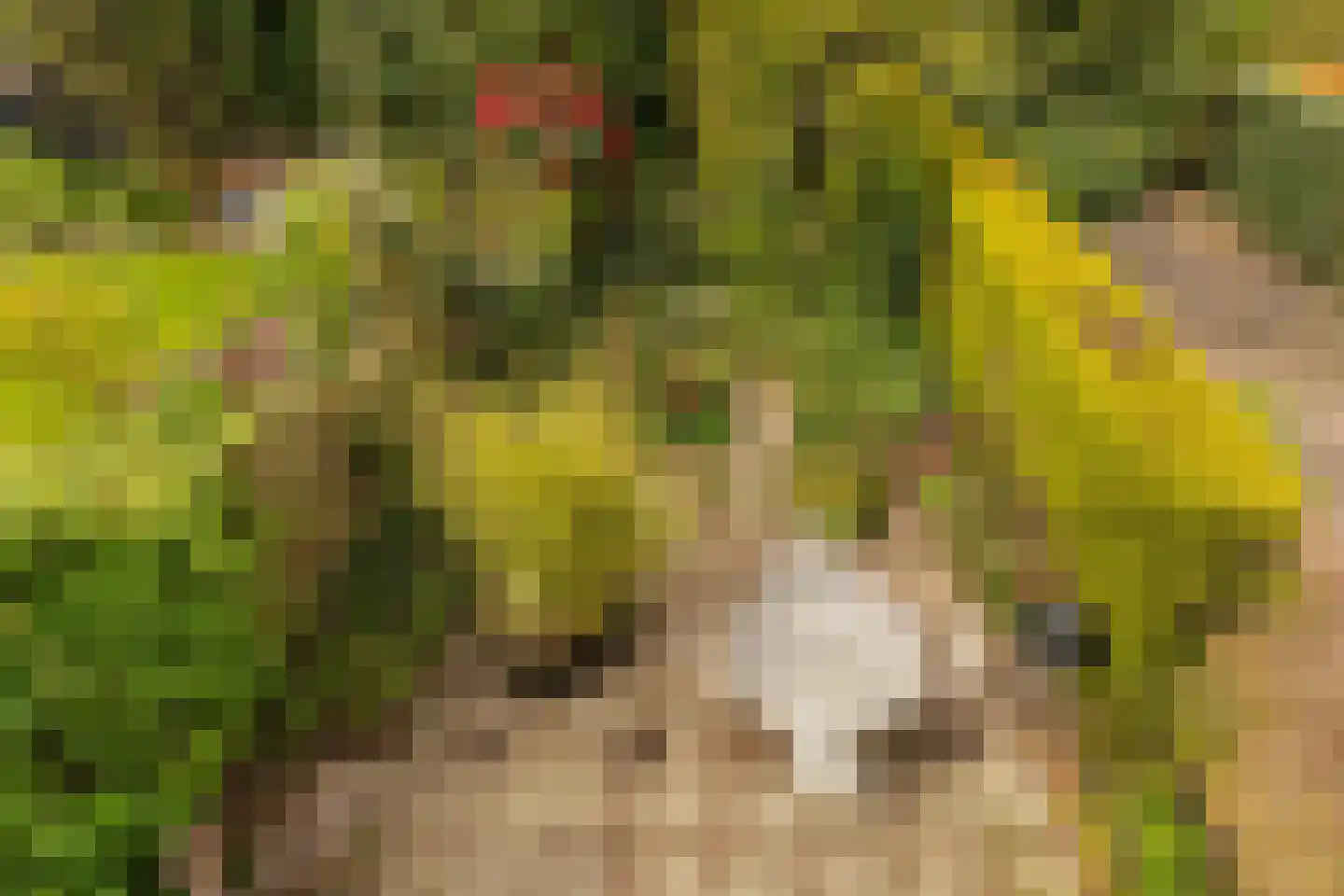 Bijenmeent 118 Hilversum thumbnail 23