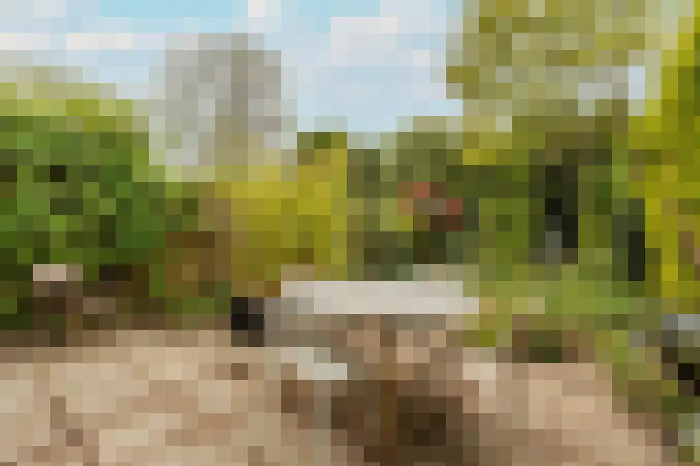 Bijenmeent 118 Hilversum thumbnail 25