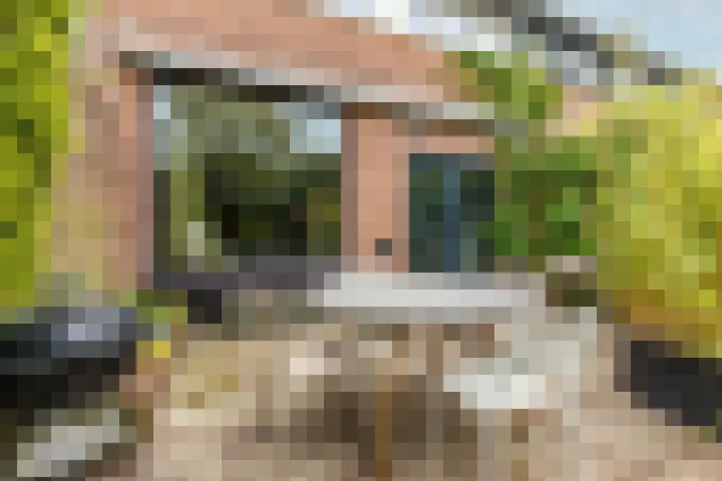 Bijenmeent 118 Hilversum thumbnail 28