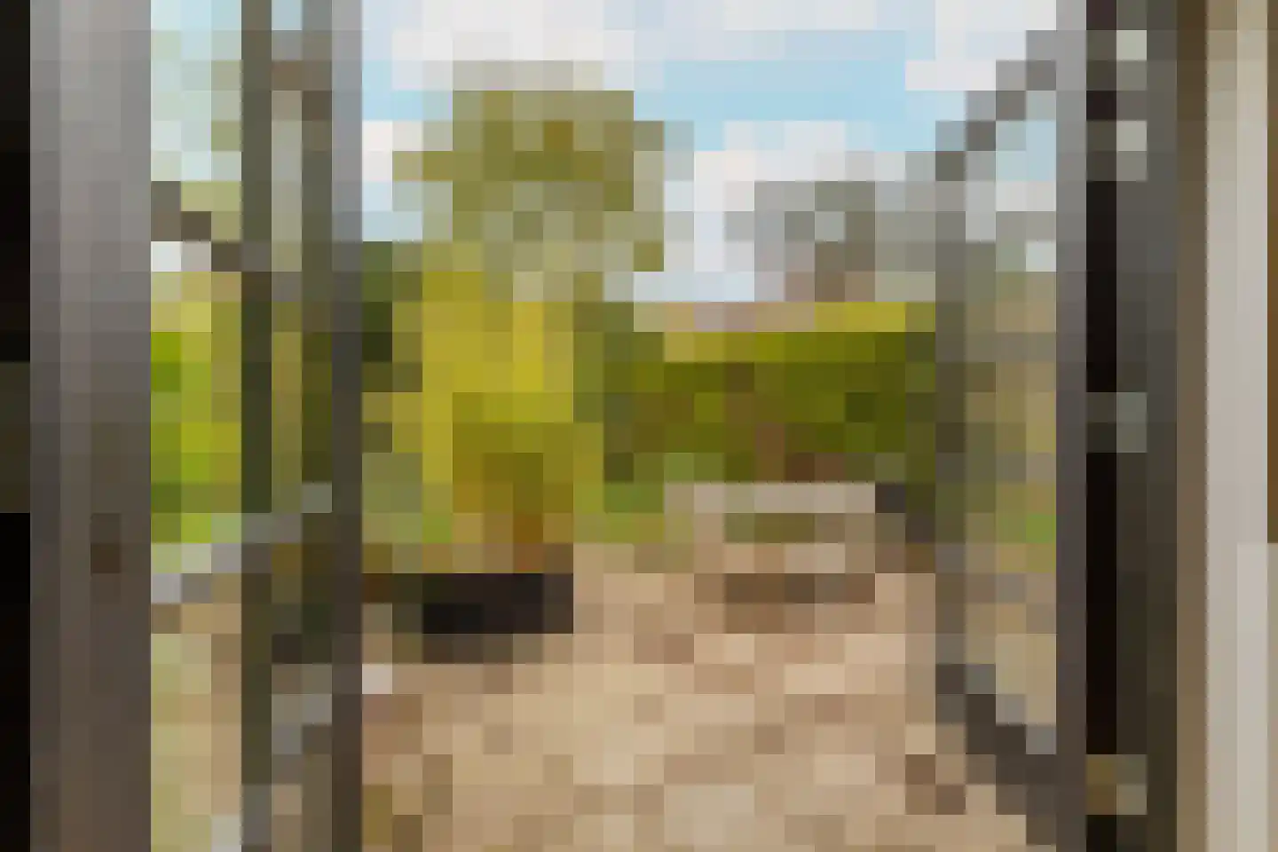 Bijenmeent 118 Hilversum thumbnail 28