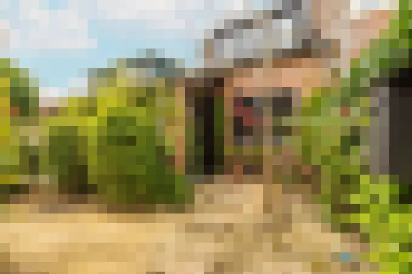 Bijenmeent 118 Hilversum thumbnail 31