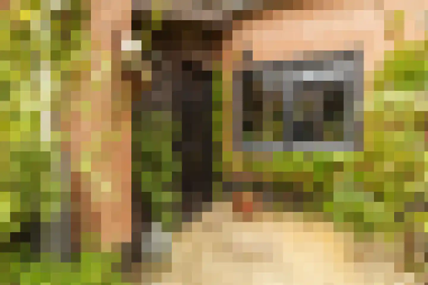 Bijenmeent 118 Hilversum thumbnail 32