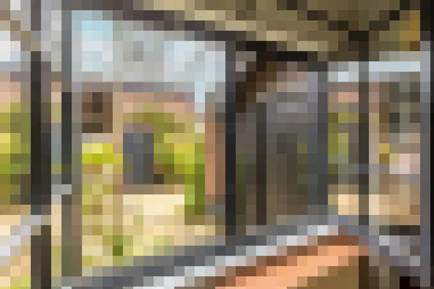 Bijenmeent 118 Hilversum thumbnail 33