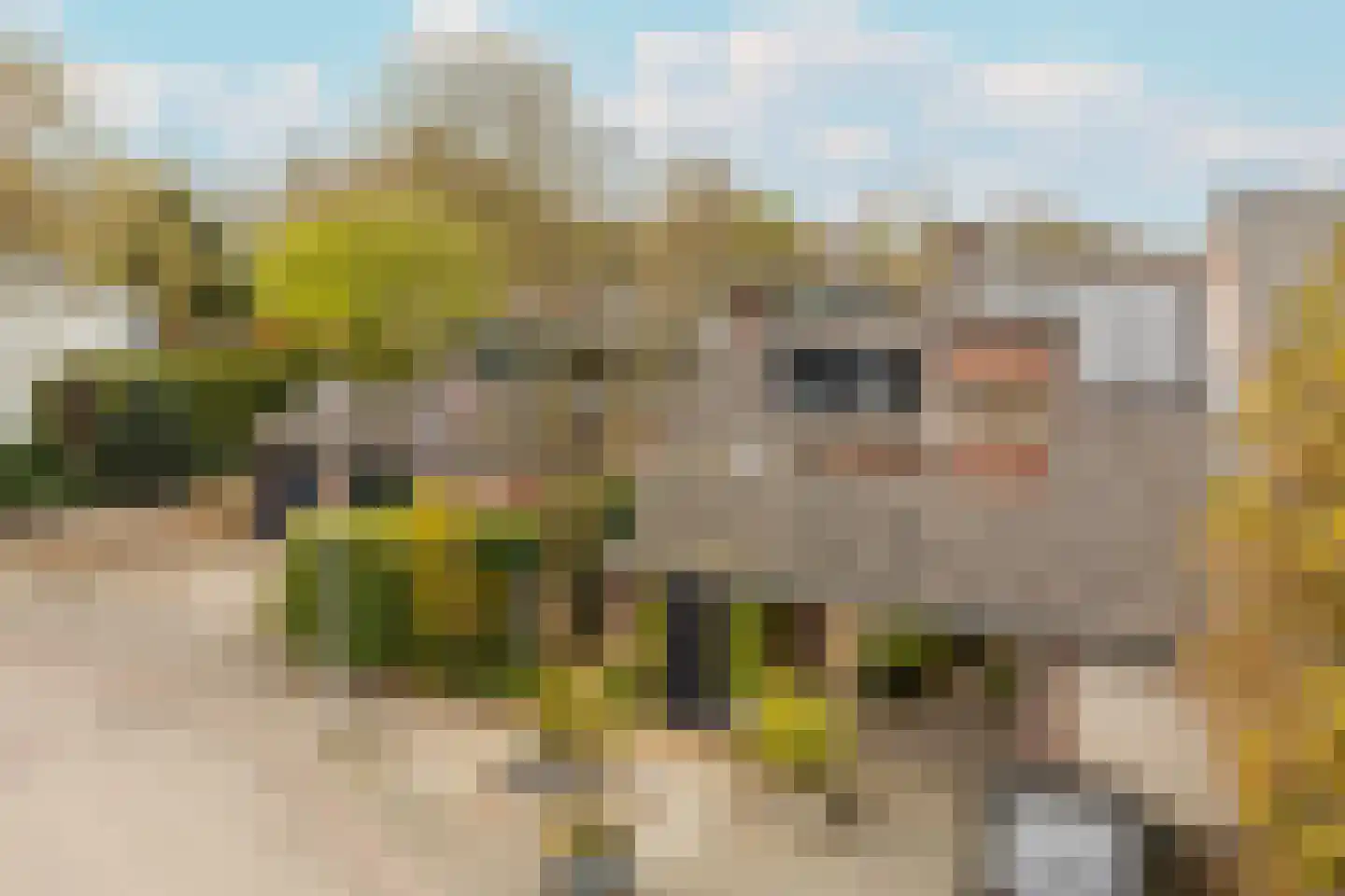 Bijenmeent 118 Hilversum thumbnail 36