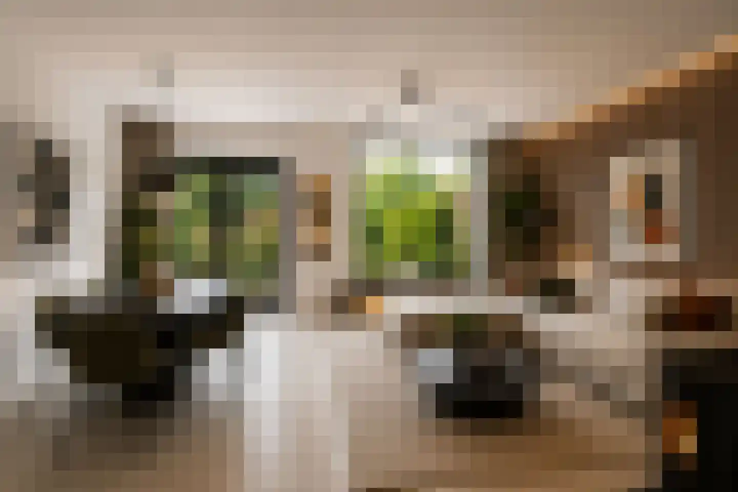 Bijenmeent 118 Hilversum thumbnail 4