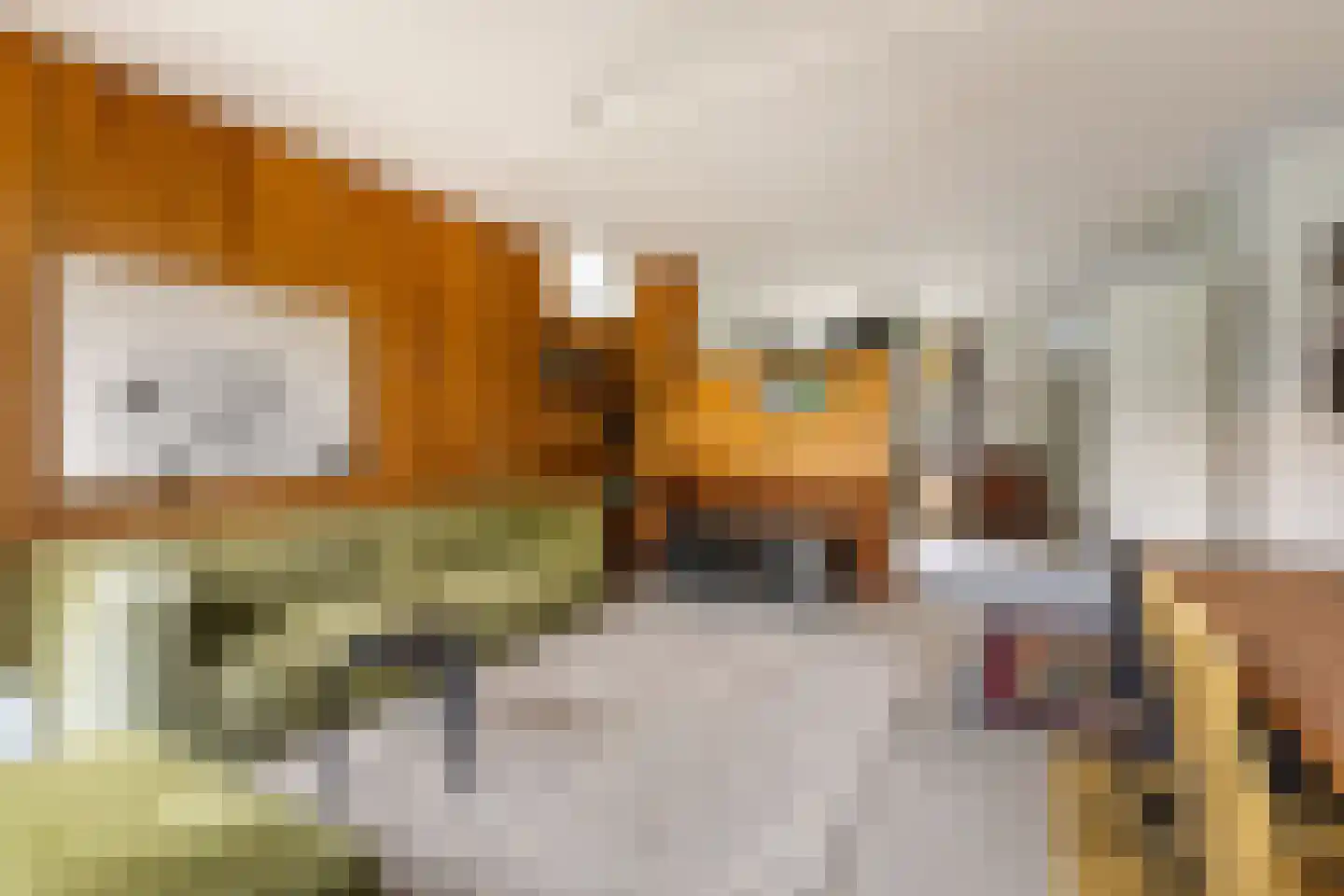 Bijenmeent 118 Hilversum thumbnail 8