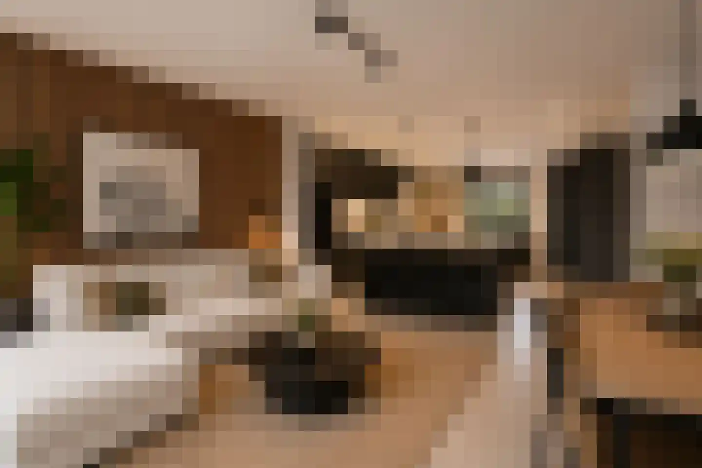 Bijenmeent 118 Hilversum thumbnail 9