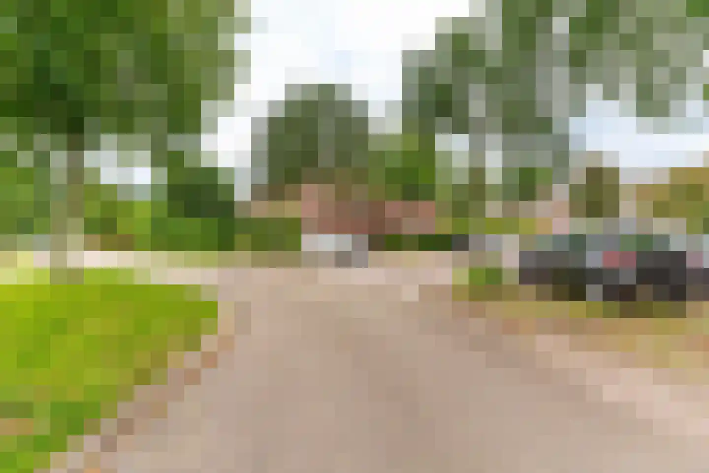 Bijenmeent 141 Hilversum thumbnail 17