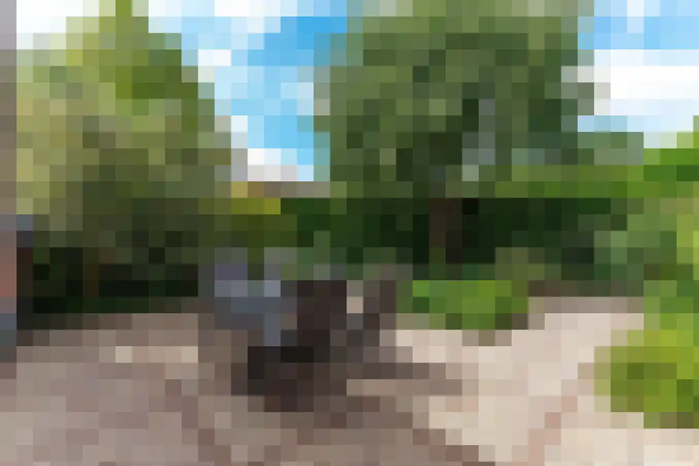 Bijenmeent 141 Hilversum thumbnail 18