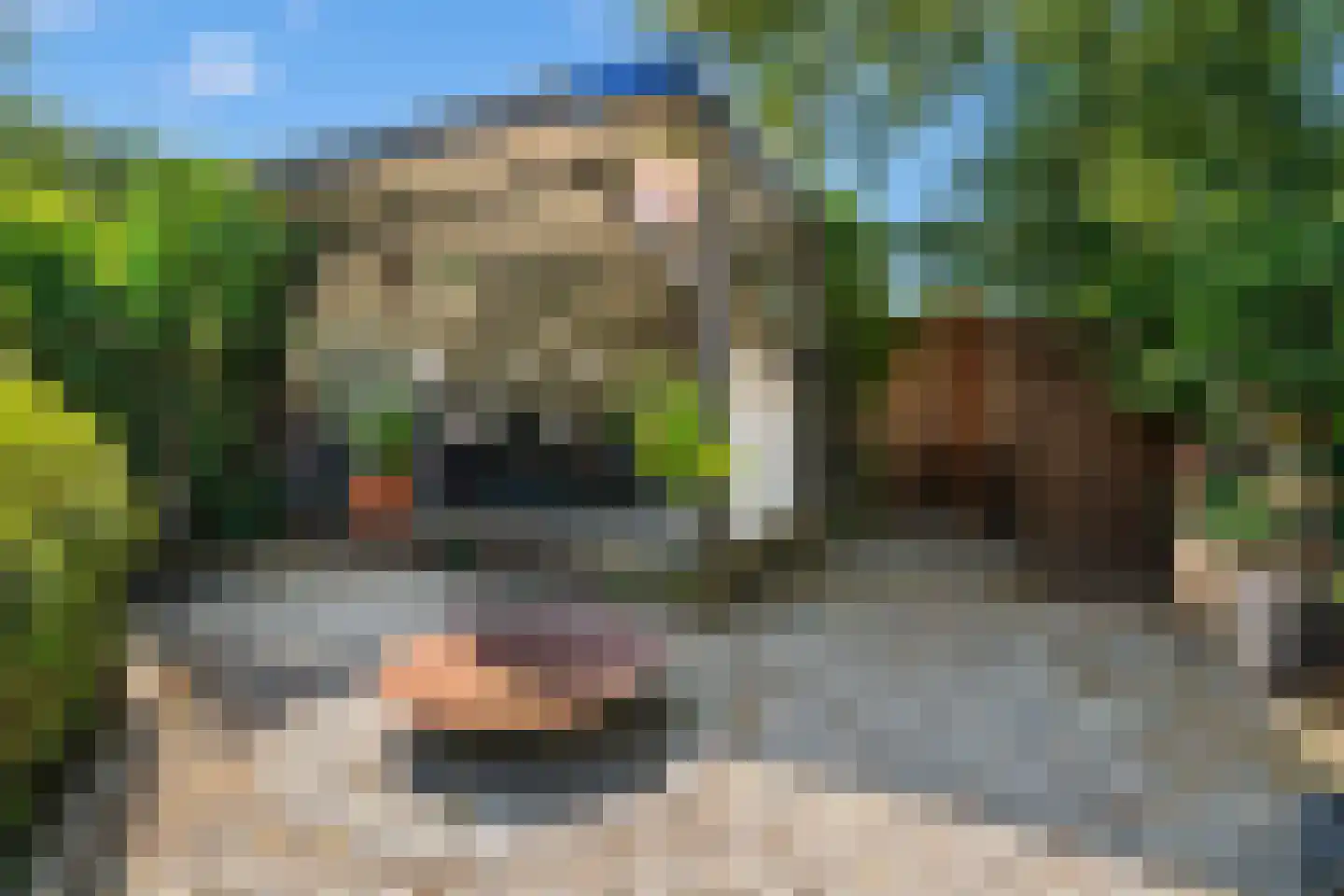 Bijenmeent 21 Hilversum thumbnail 22
