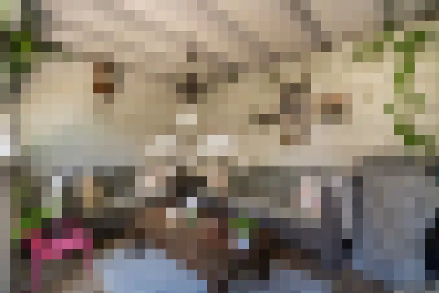 Bijenmeent 21 Hilversum thumbnail 23