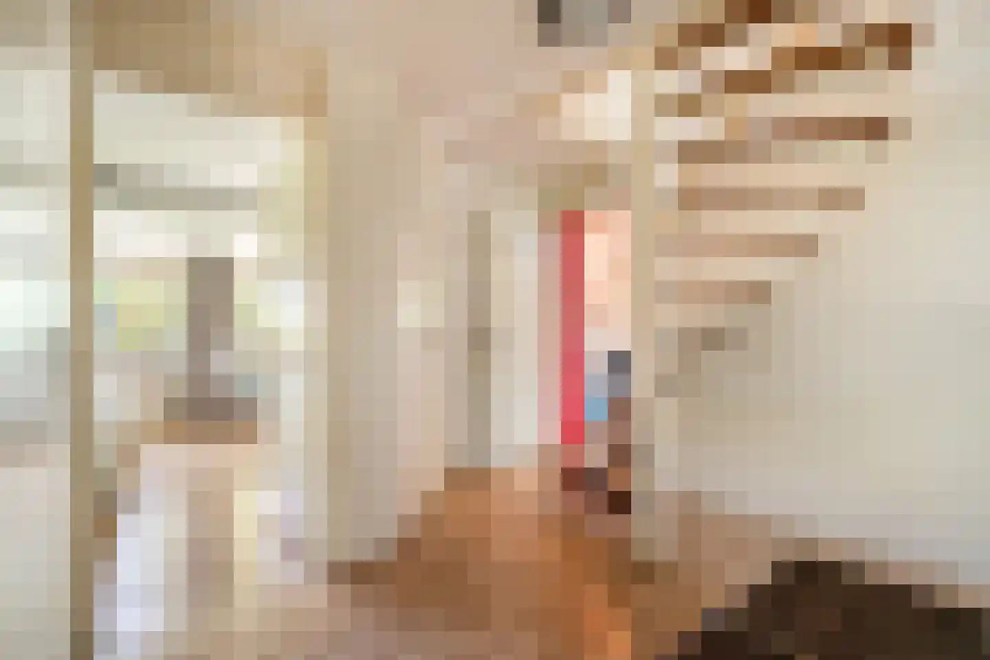 Bijenmeent 21 Hilversum thumbnail 26
