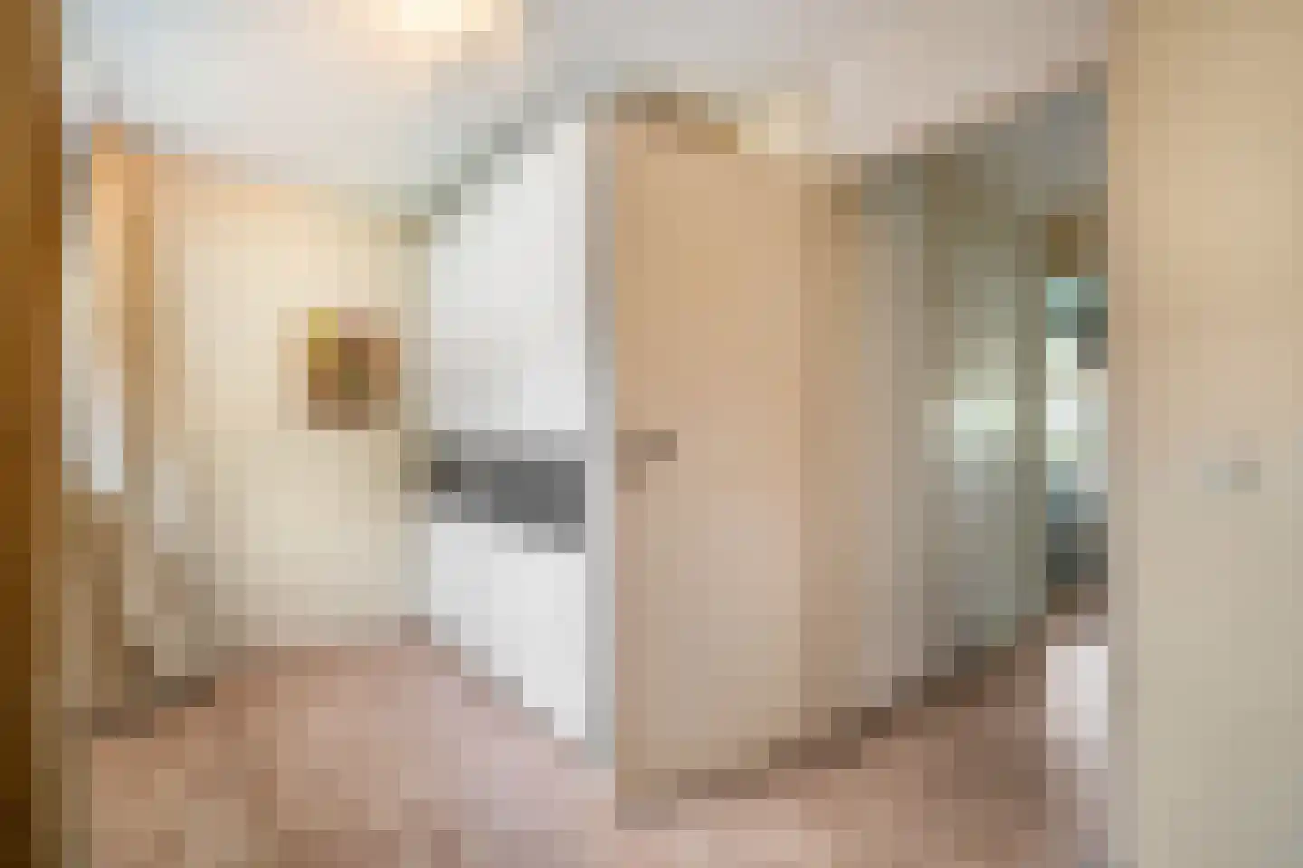 Bijenmeent 21 Hilversum thumbnail 33