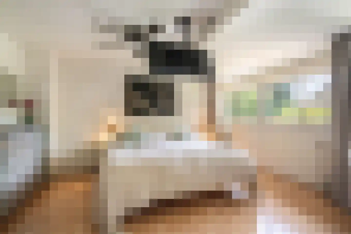Bijenmeent 21 Hilversum thumbnail 36