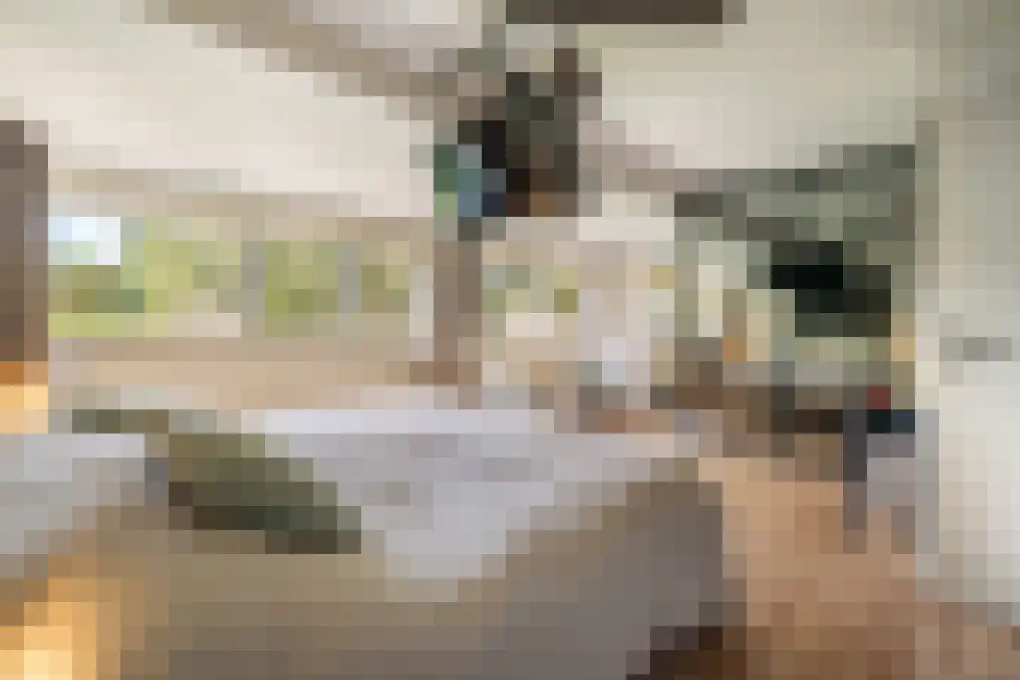 Bijenmeent 21 Hilversum thumbnail 38
