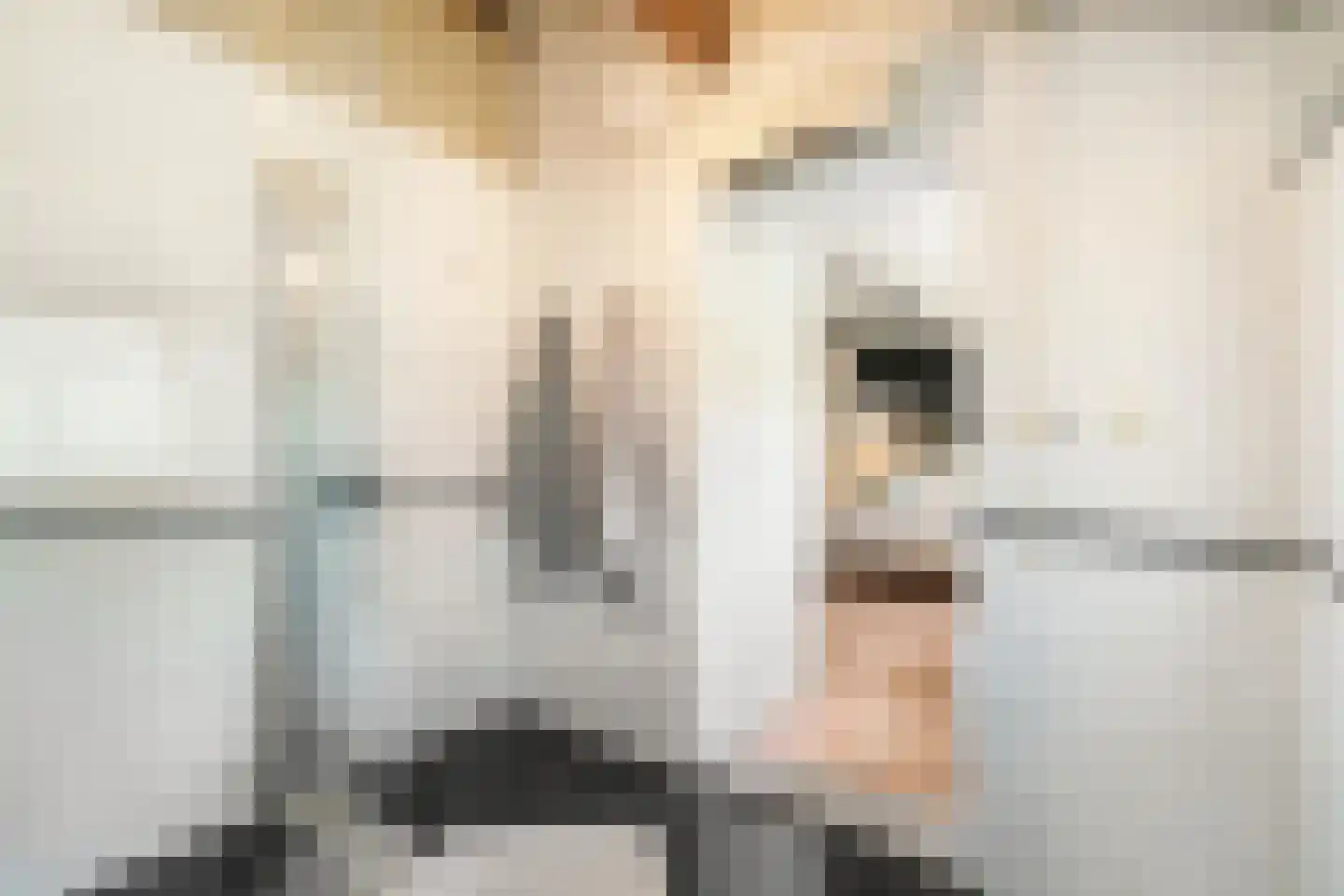 Bijenmeent 21 Hilversum thumbnail 43