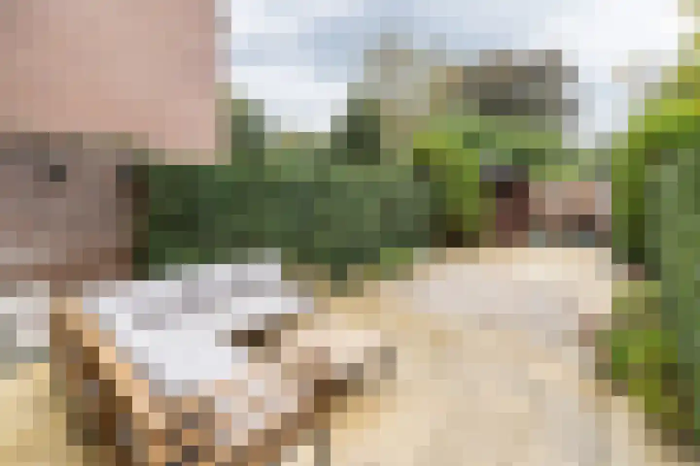 Bijenmeent 25 Hilversum thumbnail 35