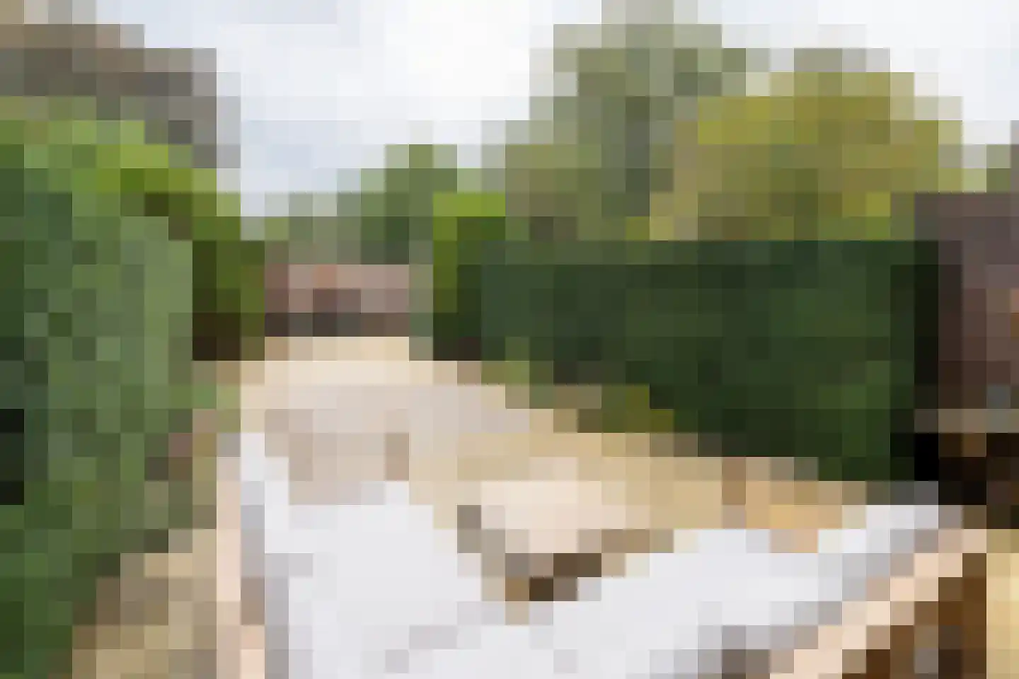 Bijenmeent 25 Hilversum thumbnail 36