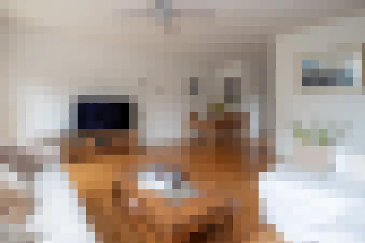 Bijenmeent 25 Hilversum thumbnail 4