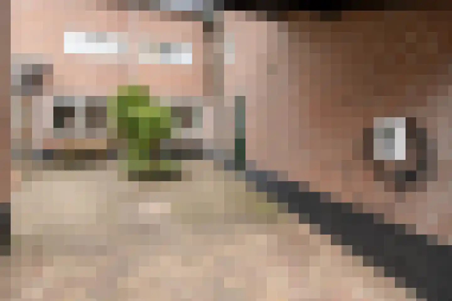 Bijenmeent 25 Hilversum thumbnail 43