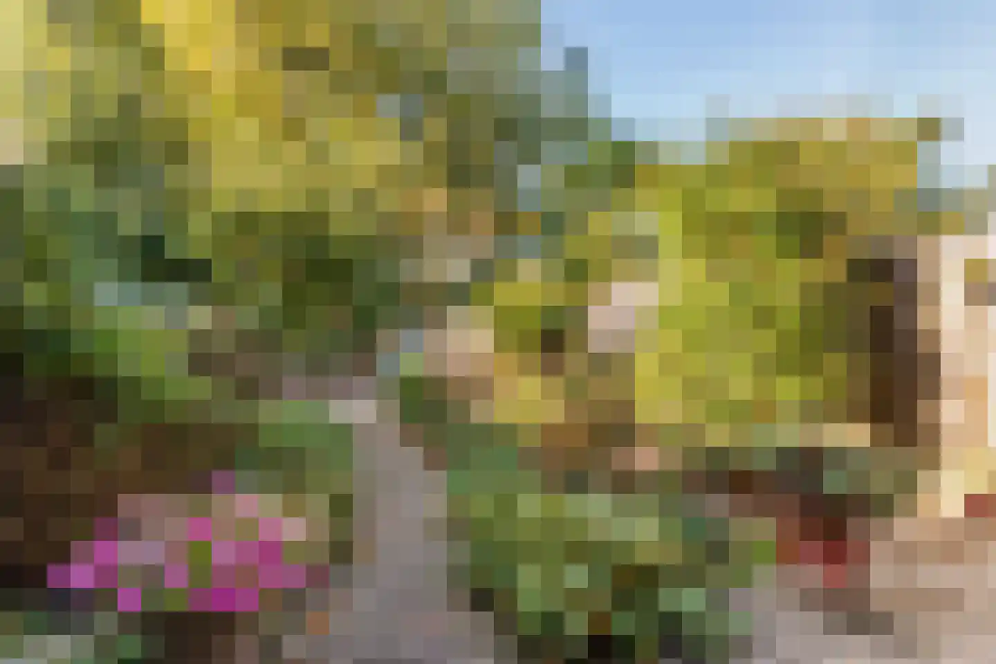 Bijenmeent 37 Hilversum thumbnail 32