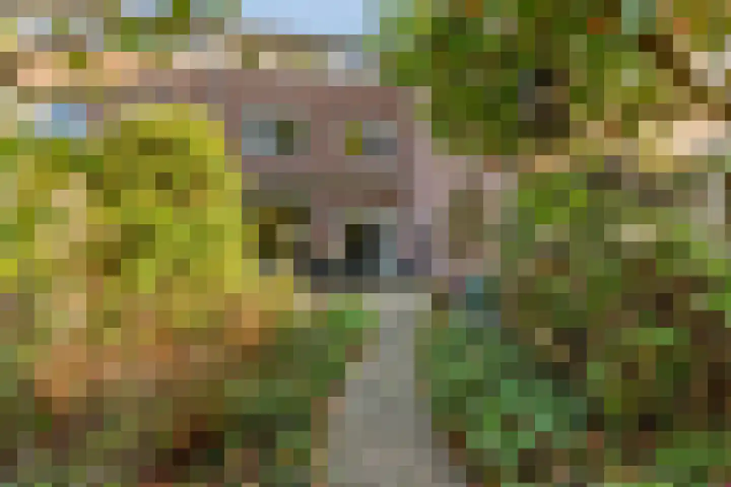 Bijenmeent 37 Hilversum thumbnail 33