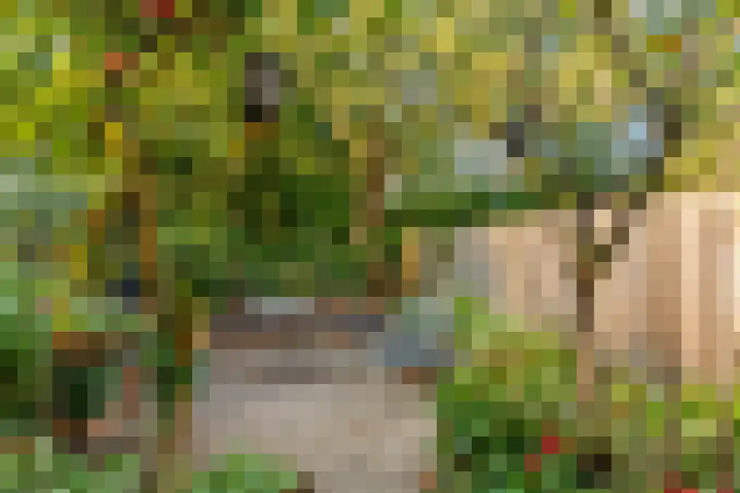 Bijenmeent 37 Hilversum thumbnail 34