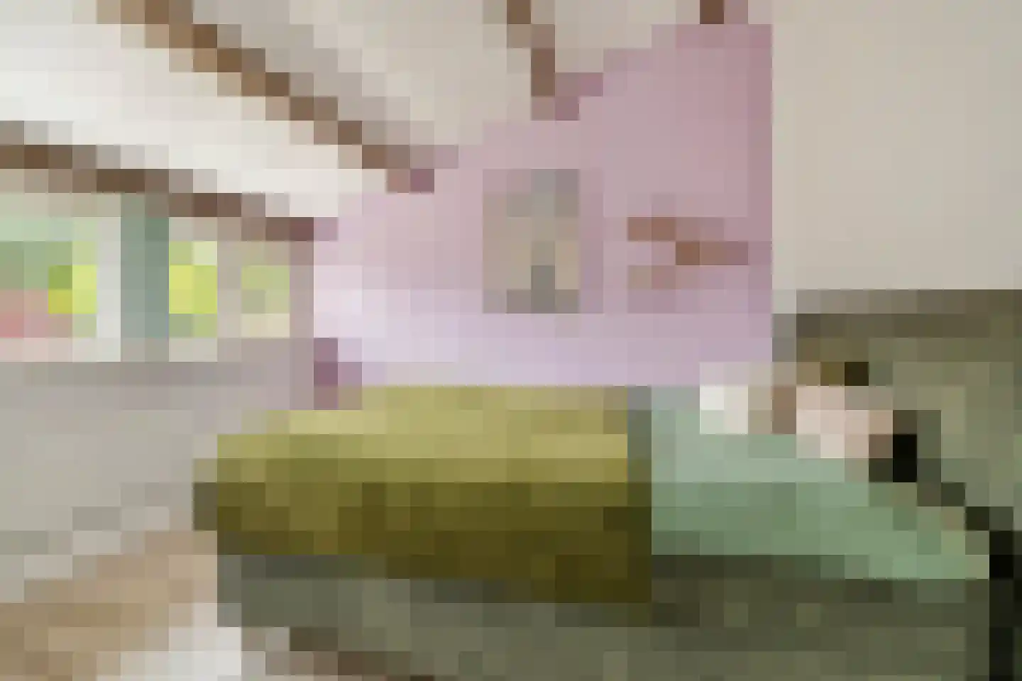 Bijenmeent 57 Hilversum thumbnail 28