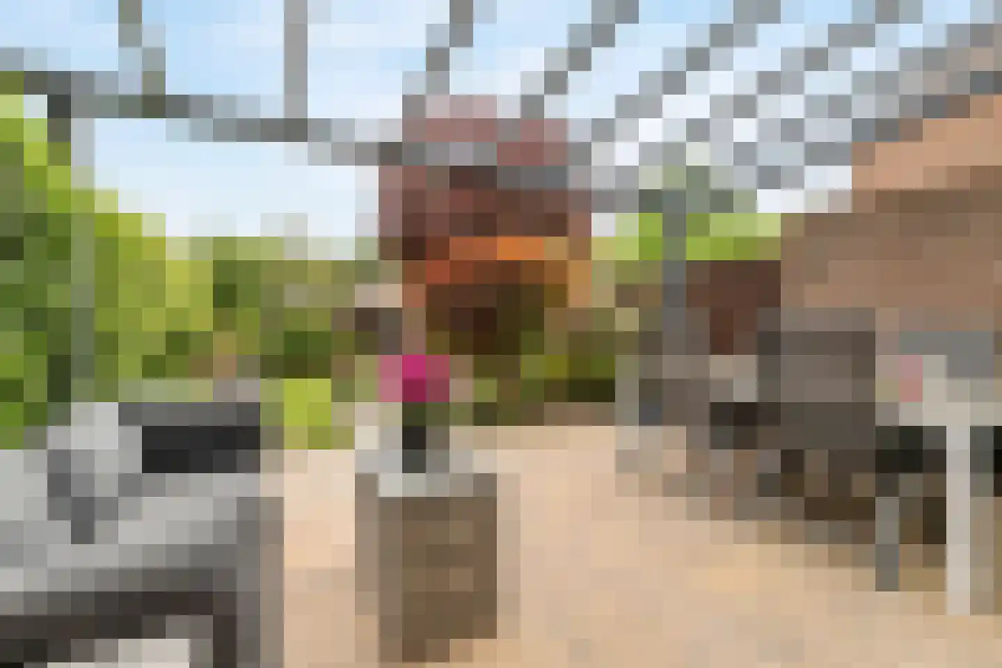 Bijenmeent 57 Hilversum thumbnail 34