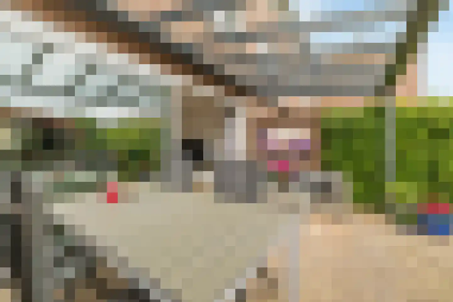 Bijenmeent 57 Hilversum thumbnail 39