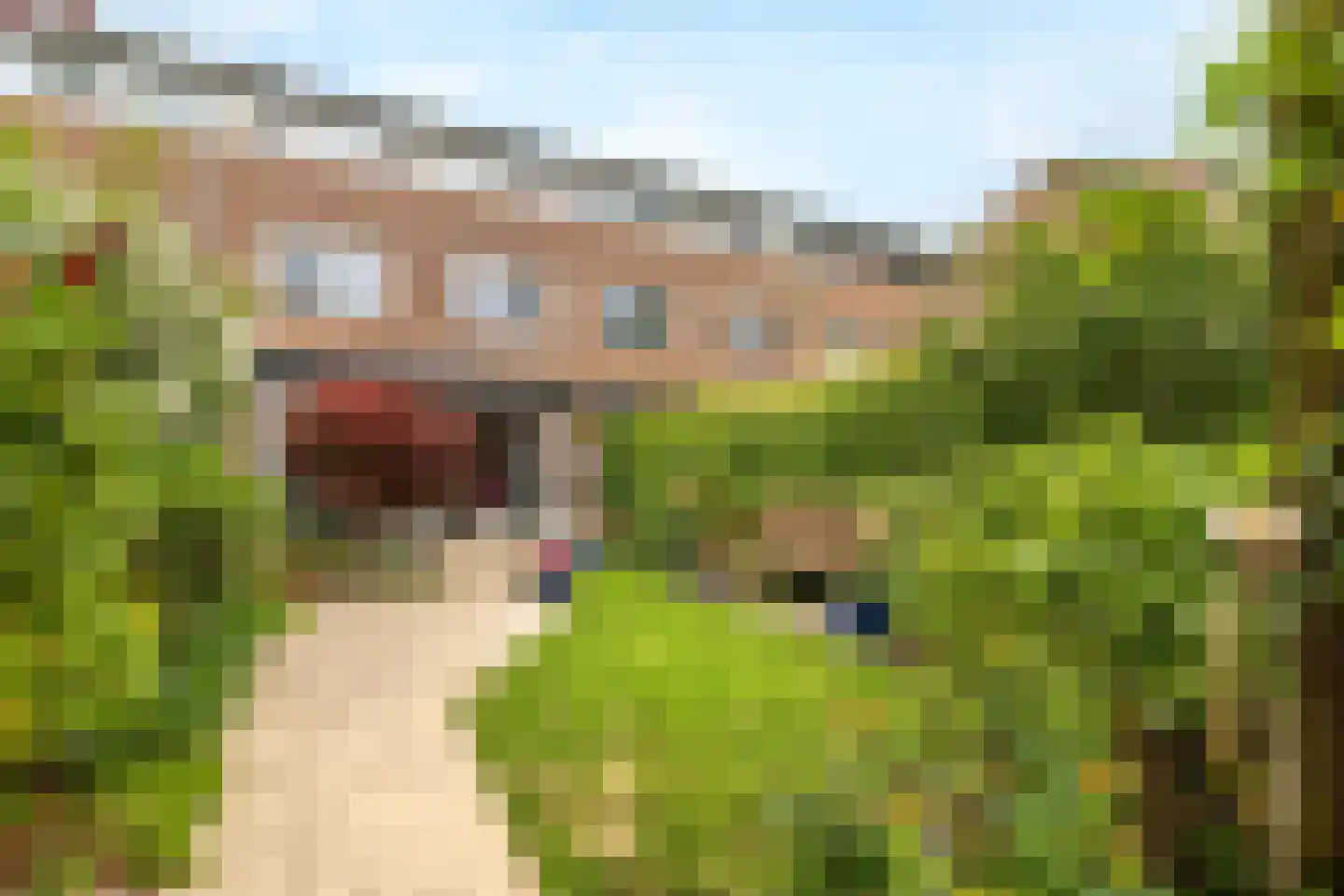 Bijenmeent 57 Hilversum thumbnail 40