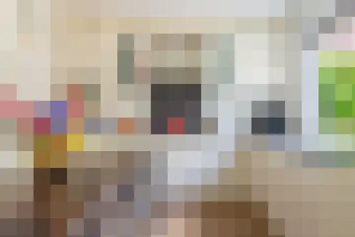 Bijenmeent 70 Hilversum thumbnail 12