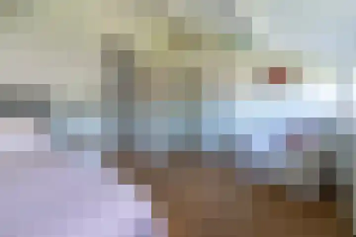Bijenmeent 70 Hilversum thumbnail 25