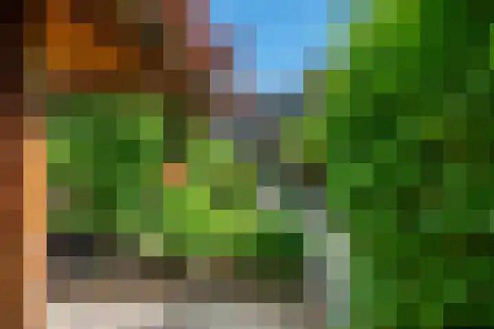 Bijenmeent 70 Hilversum thumbnail 28