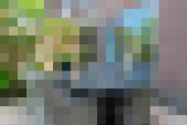 Bijenmeent 70 Hilversum thumbnail 29