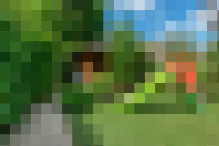 Bijenmeent 70 Hilversum thumbnail 31