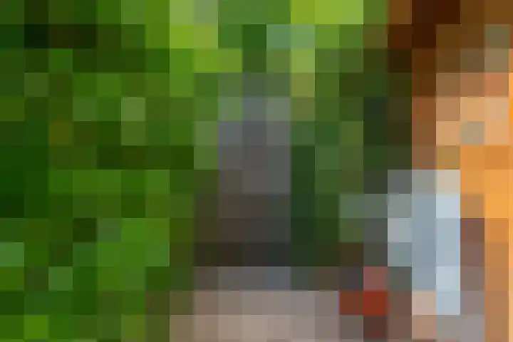 Bijenmeent 70 Hilversum thumbnail 32