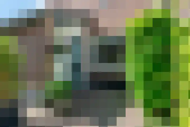 Bijenmeent 70 Hilversum thumbnail 33
