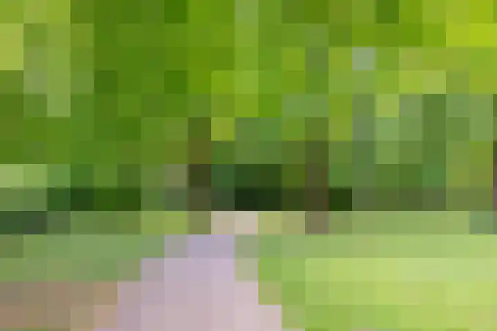 Bijenmeent 70 Hilversum thumbnail 37