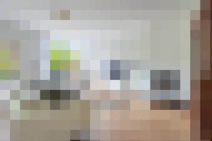 Bijenmeent 70 Hilversum thumbnail 4