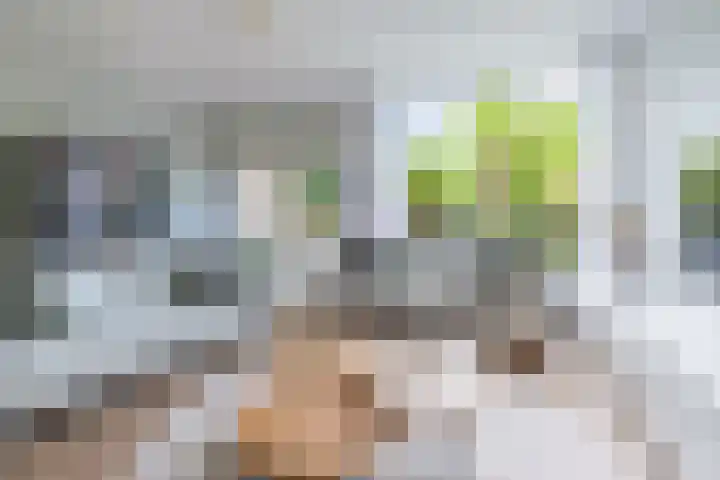 Bijenmeent 70 Hilversum thumbnail 5