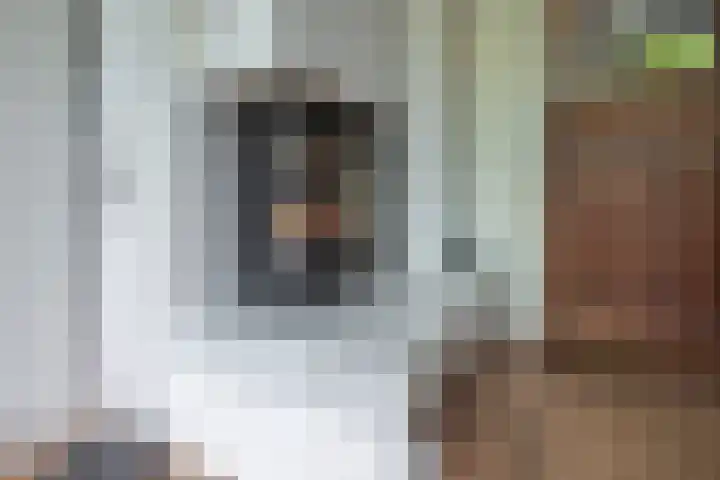 Bijenmeent 70 Hilversum thumbnail 7
