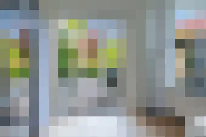 Bijenmeent 70 Hilversum thumbnail 9