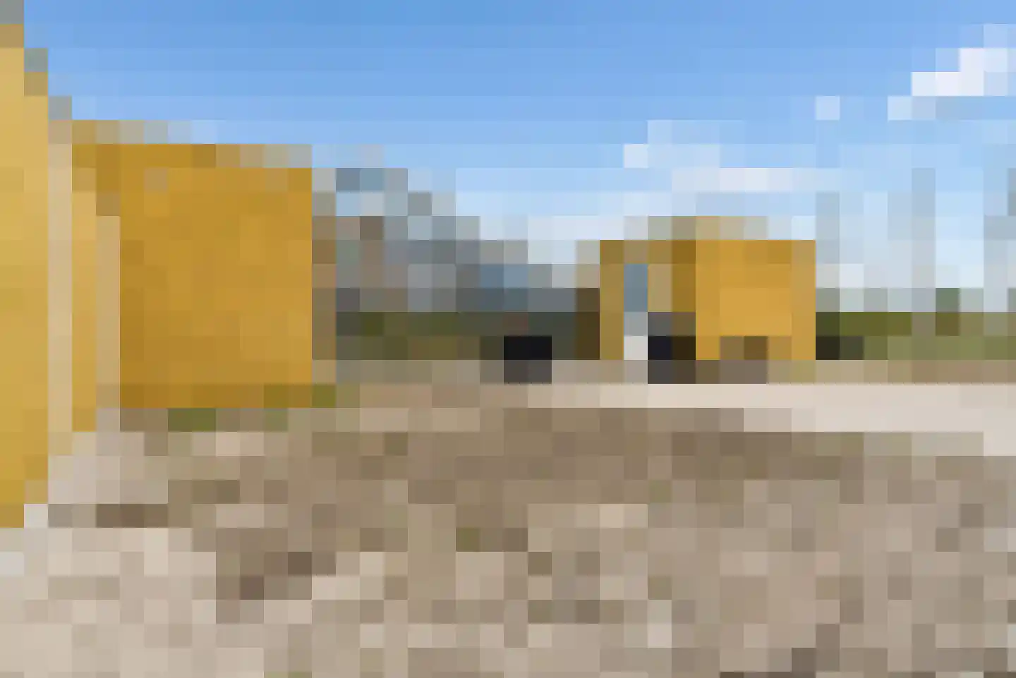 Bijenorchidee 7 Lelystad thumbnail 32