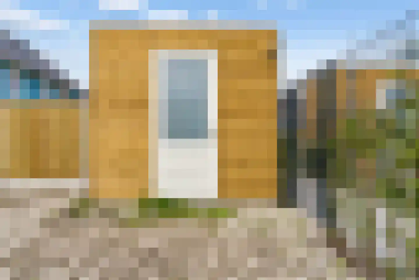 Bijenorchidee 7 Lelystad thumbnail 34