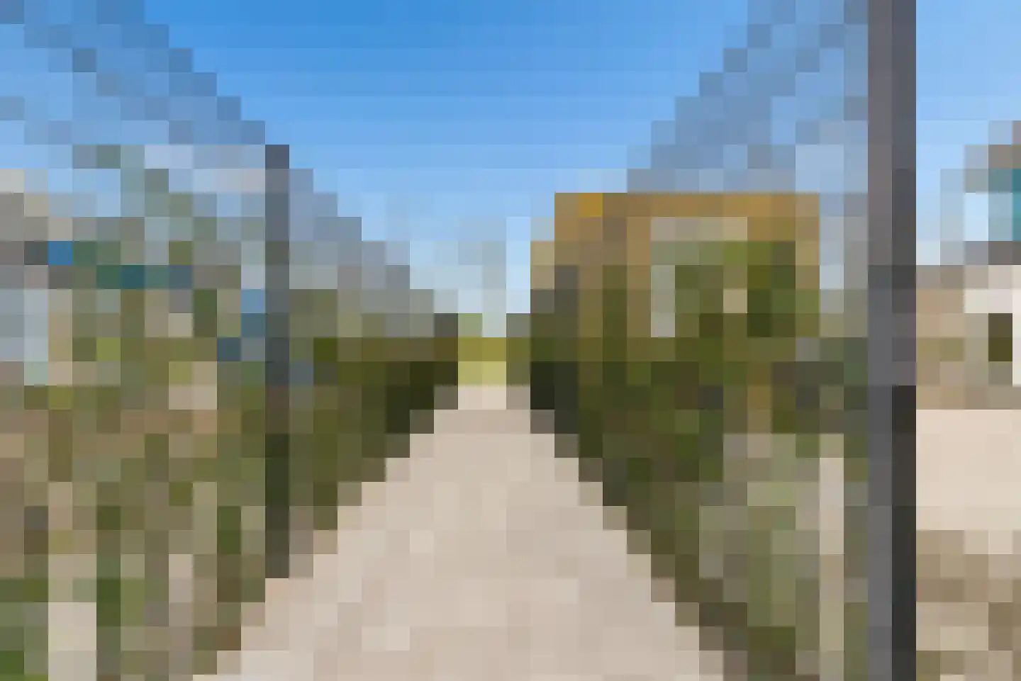 Bijenorchidee 7 Lelystad thumbnail 37