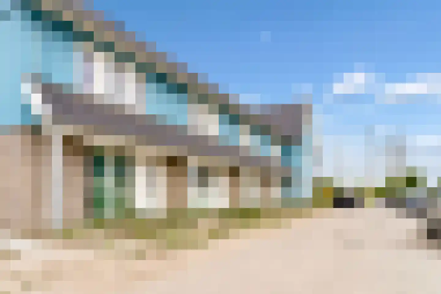 Bijenorchidee 7 Lelystad thumbnail 38